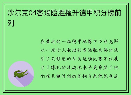 沙尔克04客场险胜擢升德甲积分榜前列