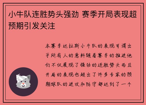 小牛队连胜势头强劲 赛季开局表现超预期引发关注
