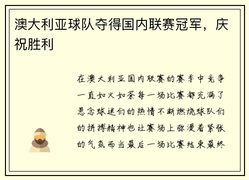 澳大利亚球队夺得国内联赛冠军,庆祝胜利