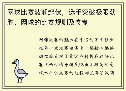 网球比赛波澜起伏,选手突破极限获胜,网球的比赛规则及赛制