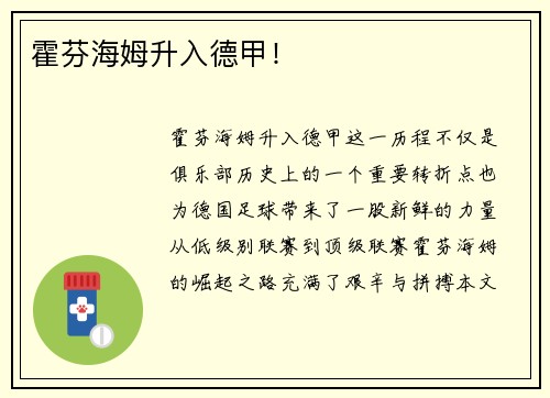 霍芬海姆升入德甲!